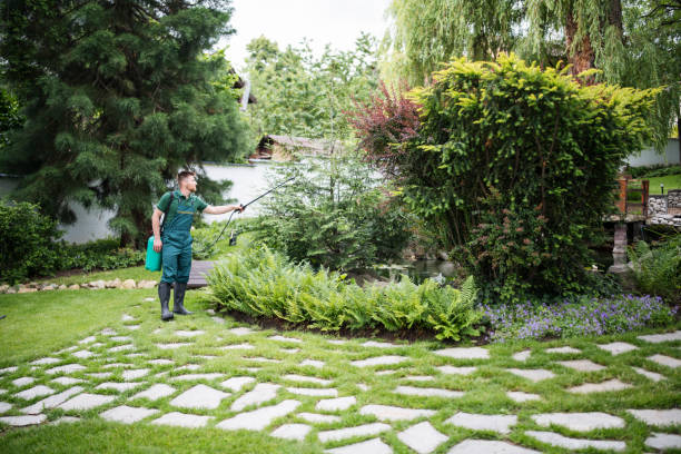 Best Landscape Design and Installation  in Gilbert, IA